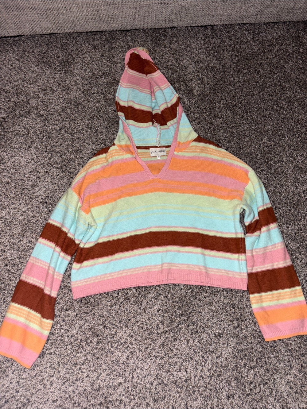 Freshman Multicolor Striped Hooded Cropped Knit Top